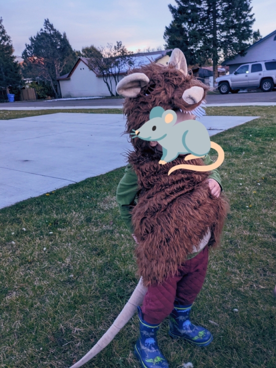 Other - Rat Of Unusual Size Toddler Costume 2t